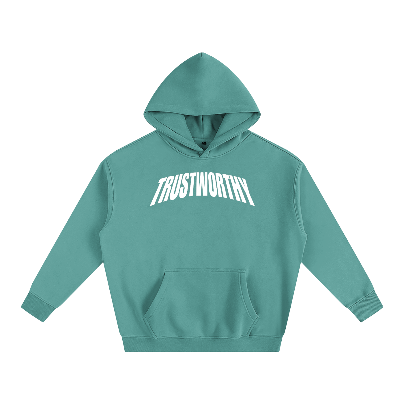 TRUSTWORTHY 019 - “TRST WRTHY” GRAPHIC HOODIE
