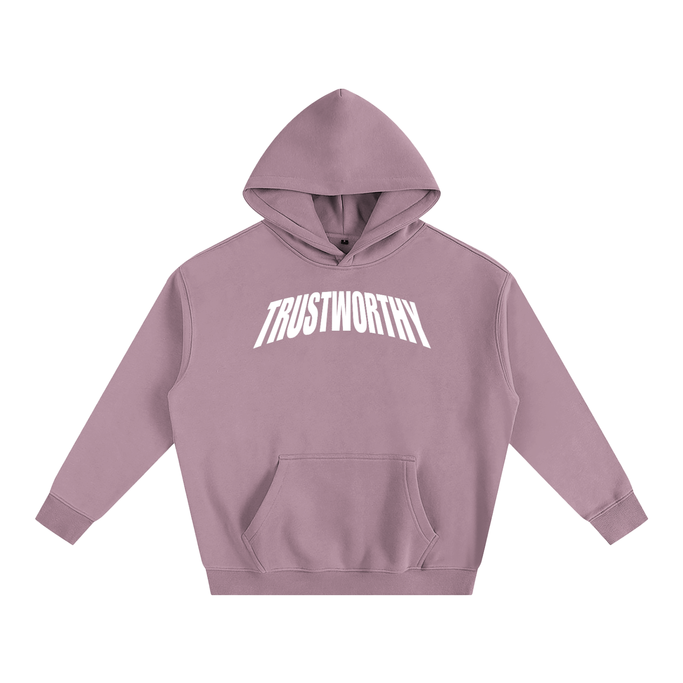 TRUSTWORTHY 019 - “TRST WRTHY” GRAPHIC HOODIE