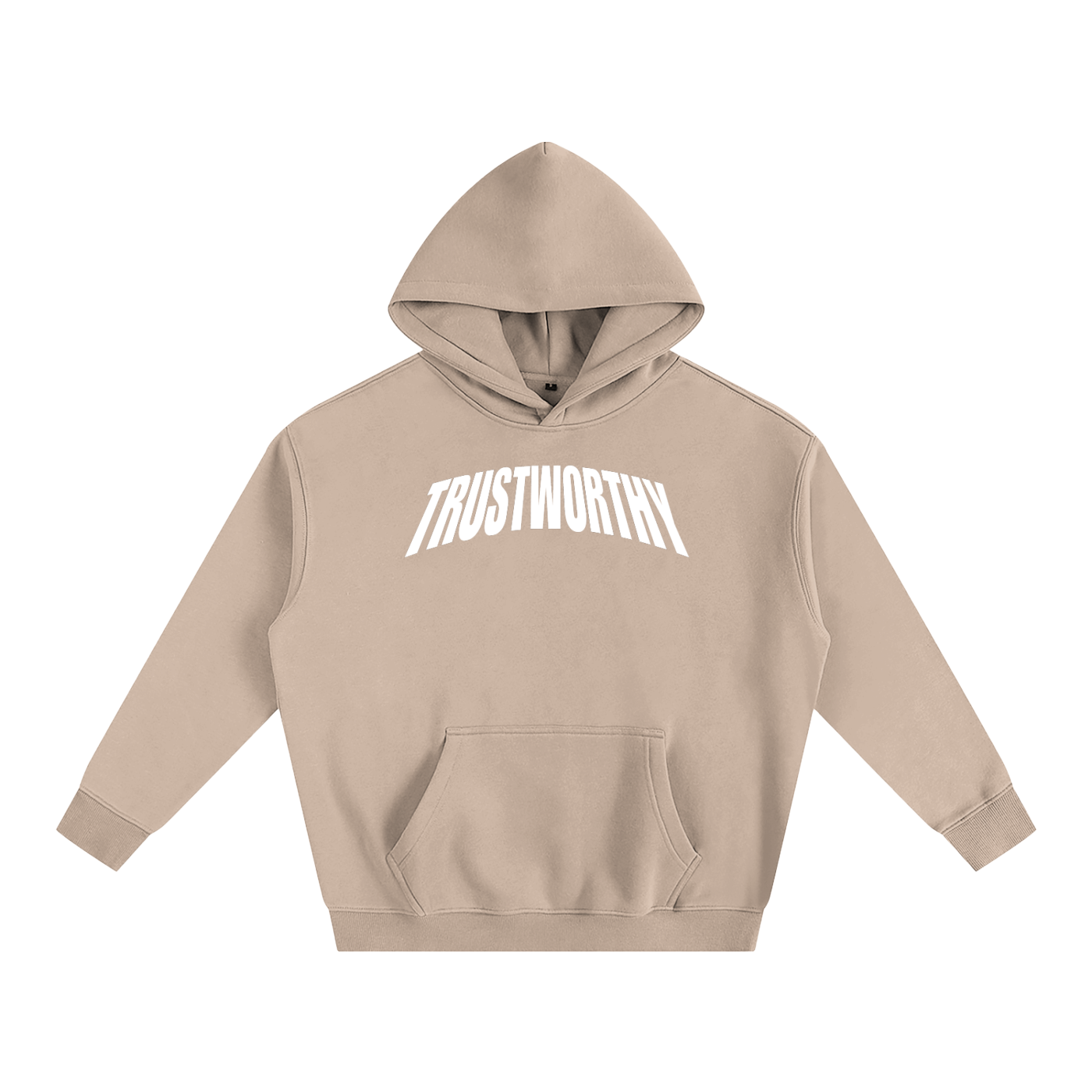 TRUSTWORTHY 019 - “TRST WRTHY” GRAPHIC HOODIE