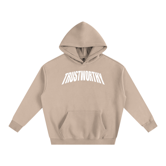 TRUSTWORTHY 019 - “TRST WRTHY” GRAPHIC HOODIE